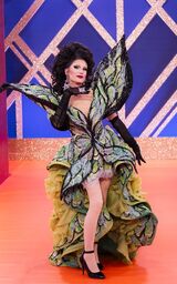 Entrance Look