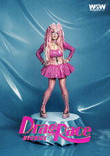 Promo Look