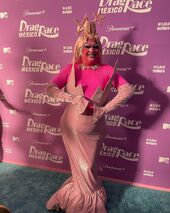 Premiere Look