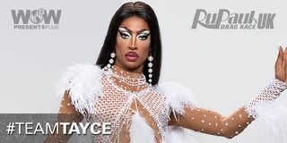 #TeamTayce Banner