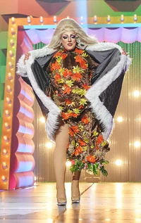 VaniaVainillaThree-In-OneLook2