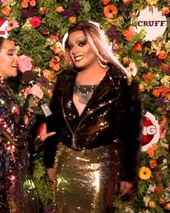 Look de la alfombra roja