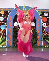 Alfombra Morada Performance Look