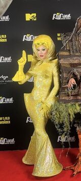 Finale Party Red Carpet Look