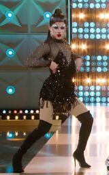 A Ritmo di Drag Look – Salsa