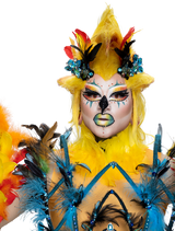 Alternate Promo