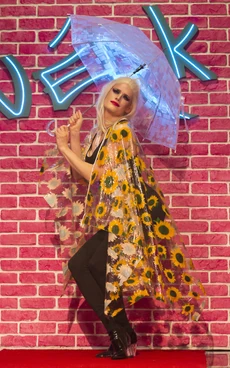 SynthiaNeighborhoodLook