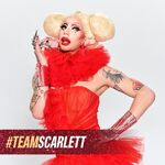 TeamScarlett