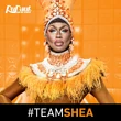 TeamSheaS9