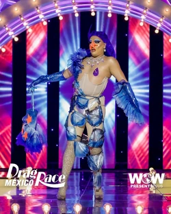 SuculentaDRMX2SportsLook