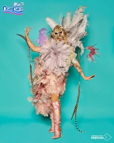 HornellaGóngoraFeathersLook