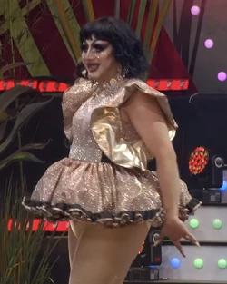 IvizaLiozaPerformanceLookB