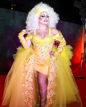 Look de la alfombra roja