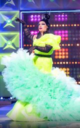 Eleganza Extravaganza Look