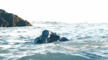 Sea Monster Photoshoot Look