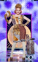 Pet Stop Girls Couture Look