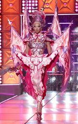Grand Finale Eleganza - Plastique Tiara