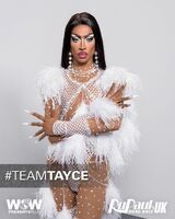 #TeamTayce Poster