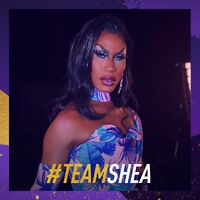 TeamSheaAS5