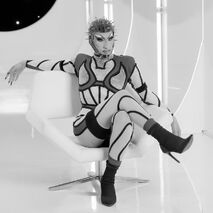 Blame It On The Edit Solo Look