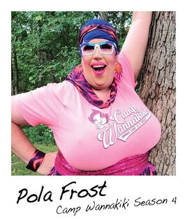 Polaroid-pola-frost