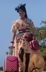 Entrance Look