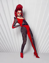 Promo/Adoption Look