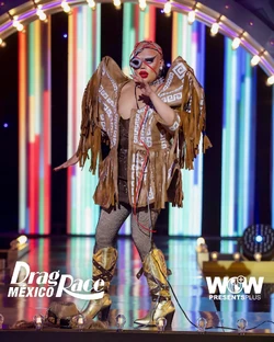 SuculentaDRMX2FuturisticLook