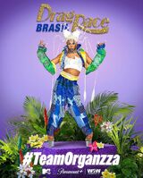 #TeamOrganzza Poster