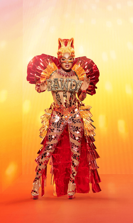 USA All Stars Season 6