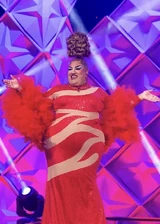 Look de 'Coronation Eleganza'