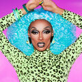 The Vixen