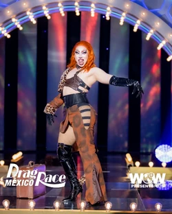 AvaPocketDRMX2FrockLook