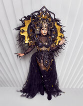 Promo/Adoption Look