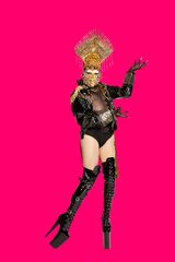 Promo Look