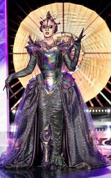 Finale Eleganza - Cheddar Gorgeous