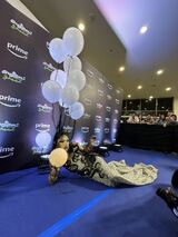 Premiere Look