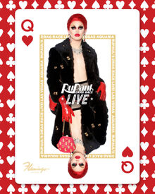 Aquaria-live-4x5-social-with-background-800x1000.jpg