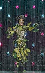 Dungeons and Drag Queens Look