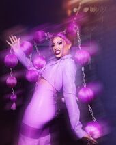 Original Peluca Palooza Look