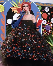 Alfombra Morada Performance Look