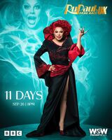 Countdown Promo