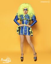 Supremme Eleganza Olé Stars Extravaganza Look