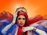 Category Latino Queens Rupaul S Drag Race Wiki Fandom