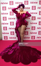 Premiere Look