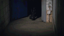 Entrance Look