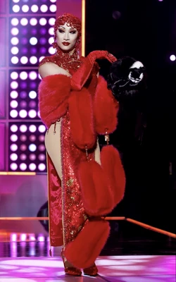 NymphiaWindPussycatWigLook3