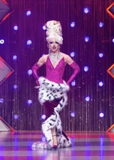Look de 'Coronation Eleganza'