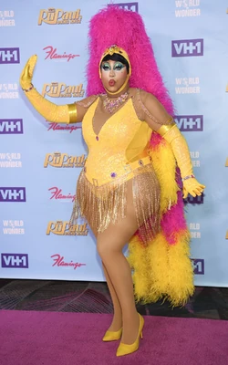 DeJaSkyeRedCarpetLook