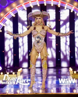 HoracioPotasioDRMX2FairGamesLook